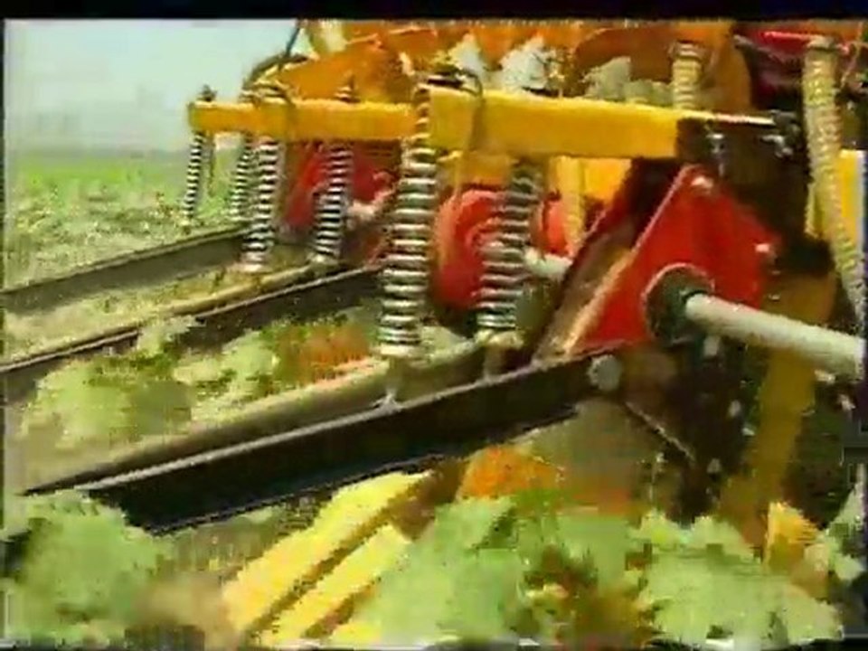 SIRA ARASI 6LI PANCAR GÜBRELİ MAKINASI