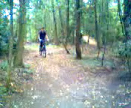 la descente en velo dans les bois avec mon cousin