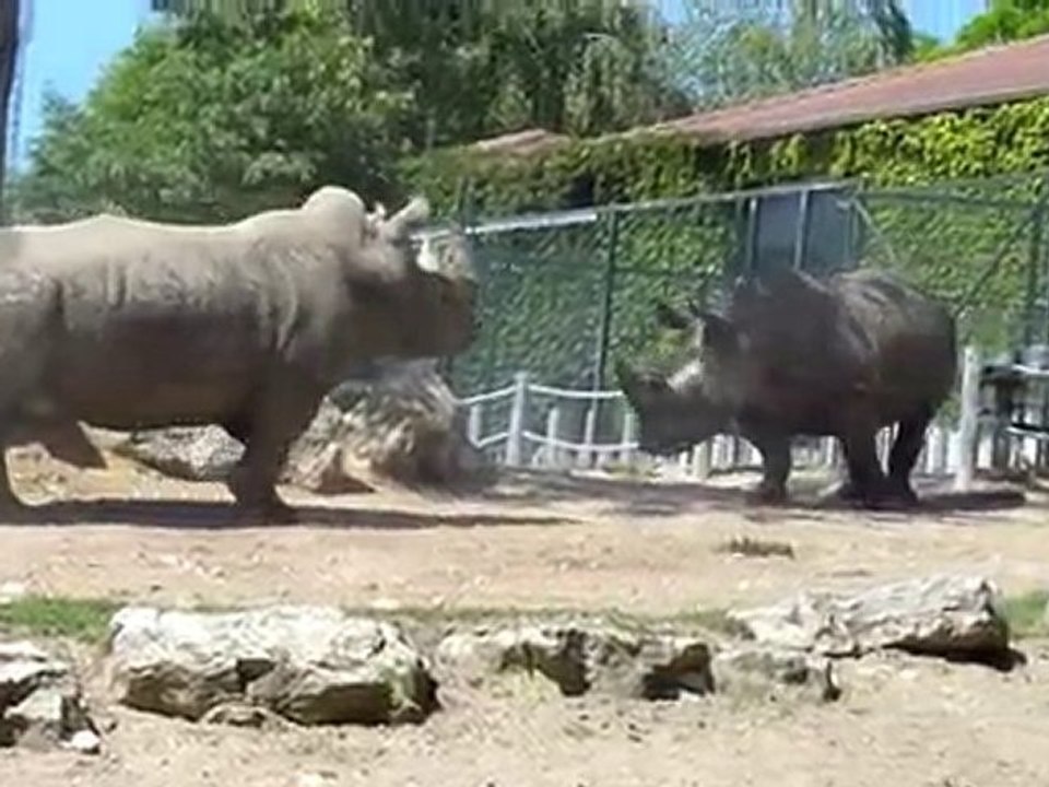 ZOO DE BEAUVAL AVEC JULIETTE