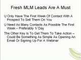 Fresh MLM Leads, MLM Genealogy Leads, Qualified MLM Leads