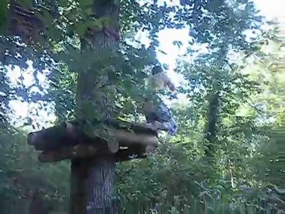 AmyneLénaFlorent au CriDeTarzan