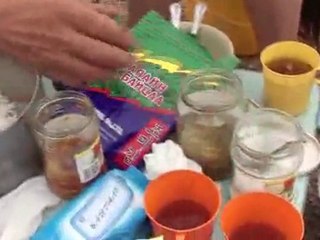 46.takaとkayoの世界旅行★ダランザドガド→tsogtovoo inモンゴル 世界遺産 動画