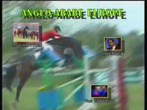 L'Anglo-arabe en France (POMPADOUR)