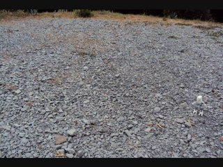 Kopaka Corporation - Une fin probable