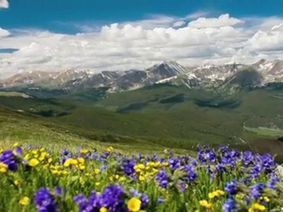 Tariq Qamar, MD - Phoenix LASIK & Cataract Surgeon