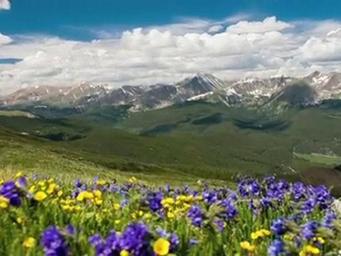 Tariq Qamar, MD - Phoenix LASIK & Cataract Surgeon