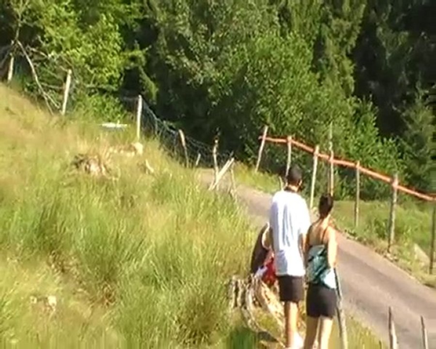 Rallye du 14 Juillet 2010