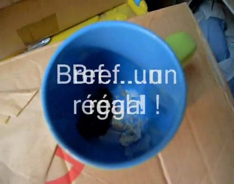 Repas Mr Caméléon.