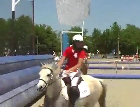 Horse Ball Lamotte 2010