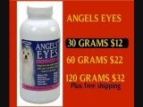 Angels eyes for dogs