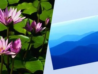 bedirhan  rıfkı tus ceza