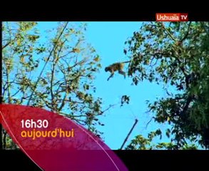 BA "Sita et son fils"