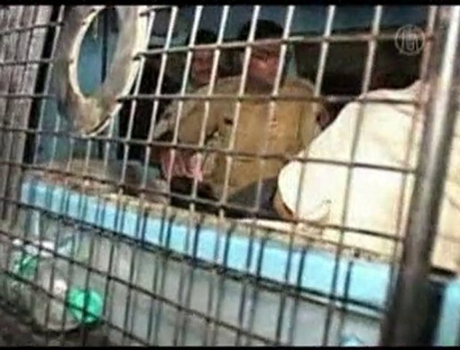 Police Rescue 11 Child Laborers in Mumbai, India