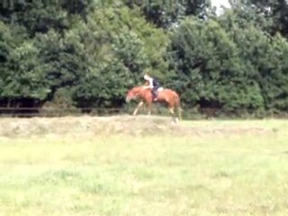 Haras du Plessis - Playground - 17 juilet 2010