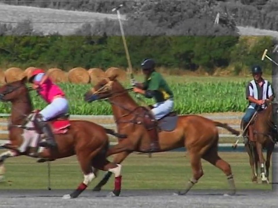 Teaser Polo 2010
