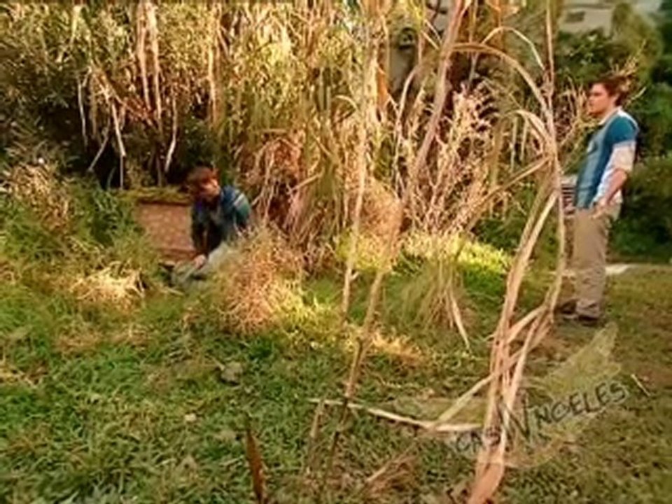 AVANCES CAPÍTULO 48 (ERREWAY2008)