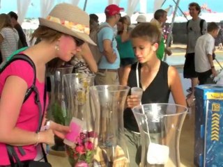 Paléo 2010 - Projets HES-SO