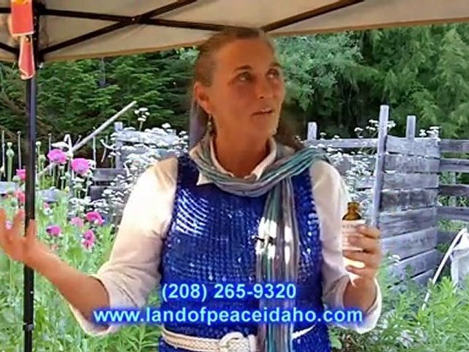 Organic healing blended oils