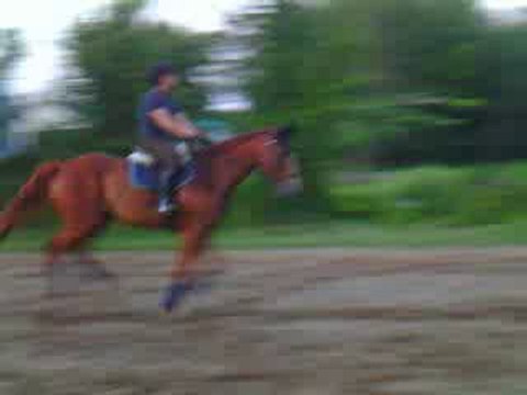 22-07-2010 Arlington -oxer dernier essai