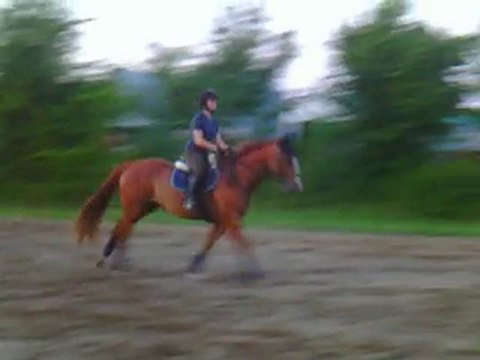 22-07-2010 Arlington oxer avant dernier essai