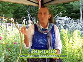 Organic Healing Oils - Evening Primrose