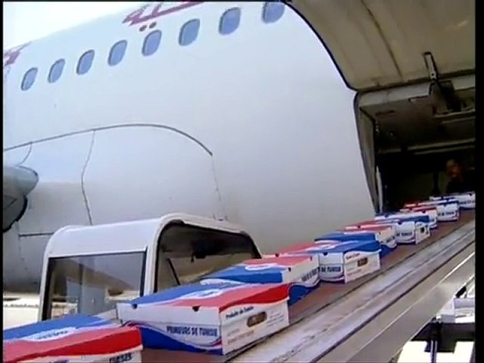 Tunisie : une agriculture amie de l'environnement