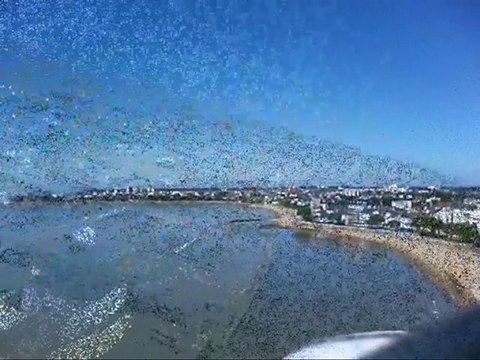 Le port de Saint Nazaire