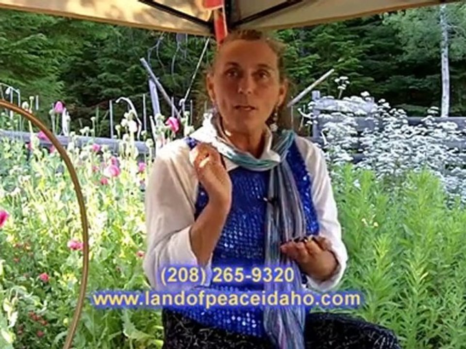 Organic Pansy healing oil