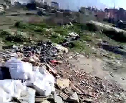 antakya güvercin döküşü guvercinrehberi.com