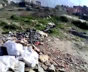 antakya güvercin döküşü www.guvercinrehberi.com