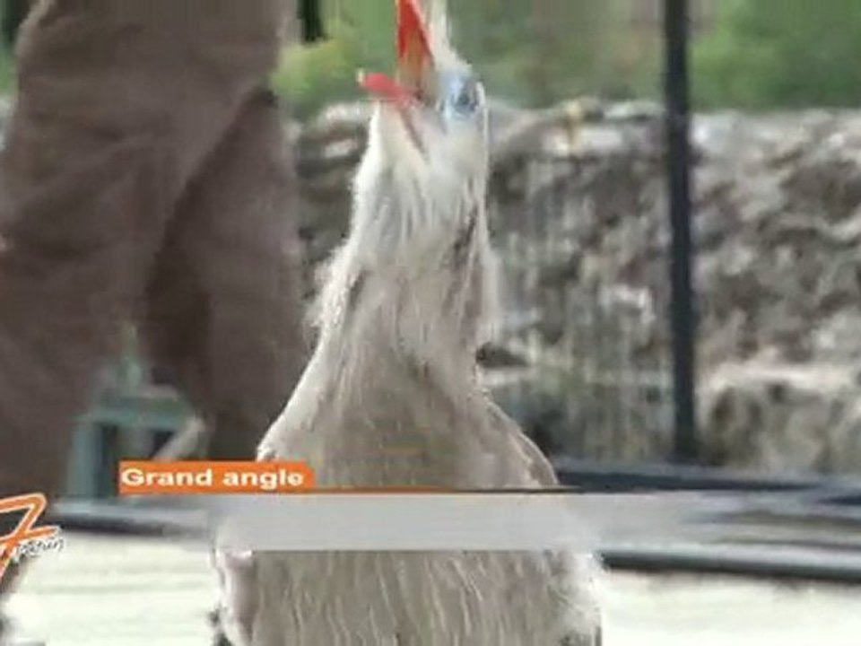 Les coulisses des Géants du ciel