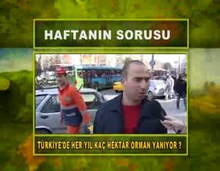 ÇEVRE VE İNSAN ÖZET