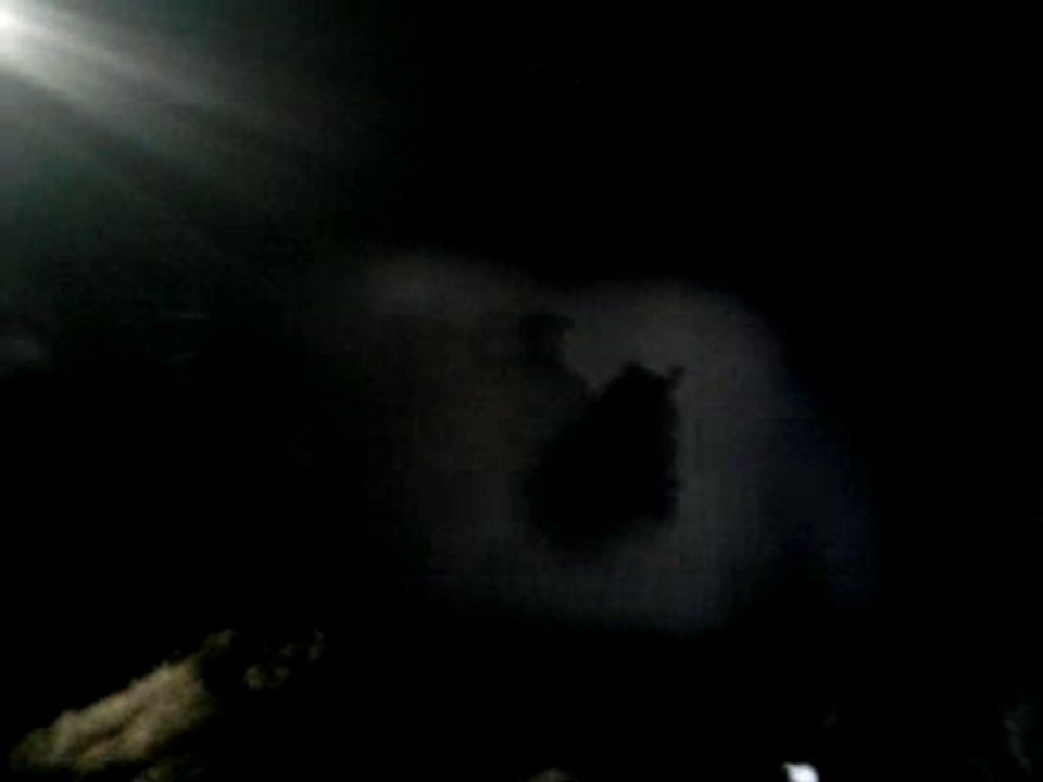 intro concert d'indochine à Douai le 19 mars 2010