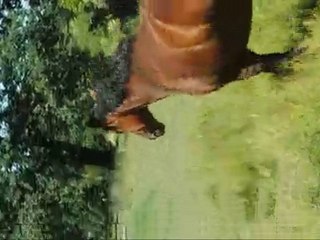 Koura et moi dans le pré