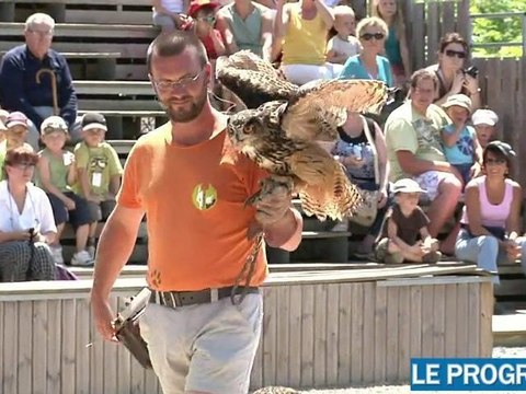 Parc de Courzieu: des rapaces et des loups