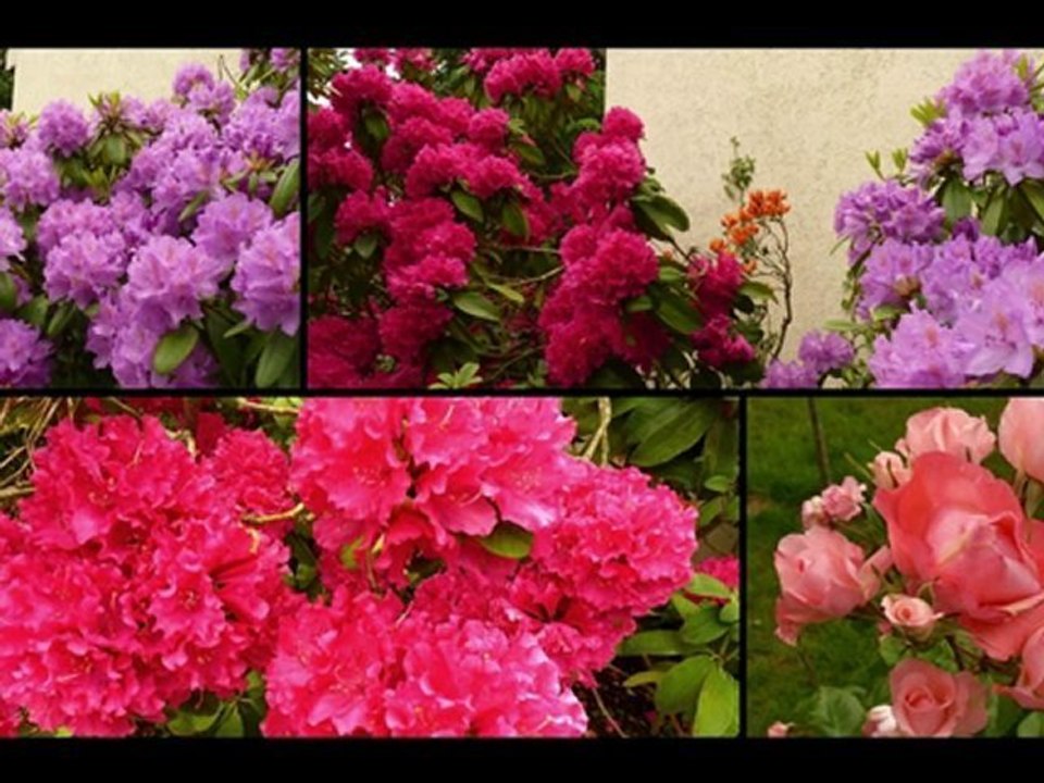 LE JARDIN DE NICOLE