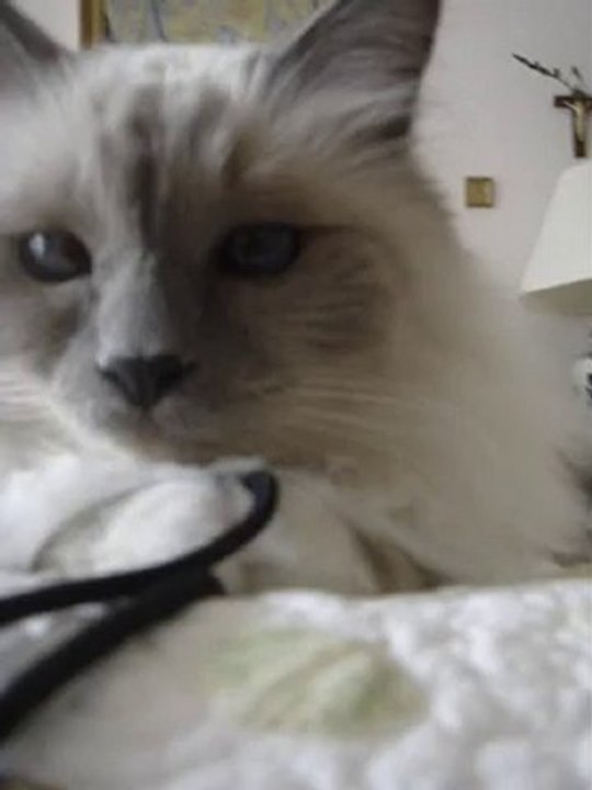 MOV05869.MPG Yota voulait sa maison aujourd'hui