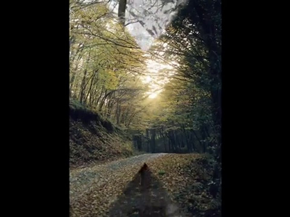 Pilli bebek-Eylül Akşamı