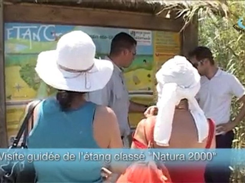Canet-en-Roussillon - Les activités locales