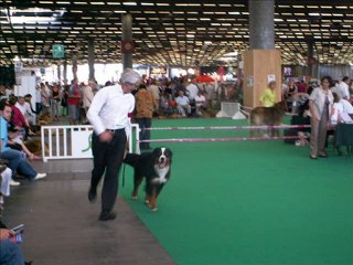 championnat de france 2010 1er partie