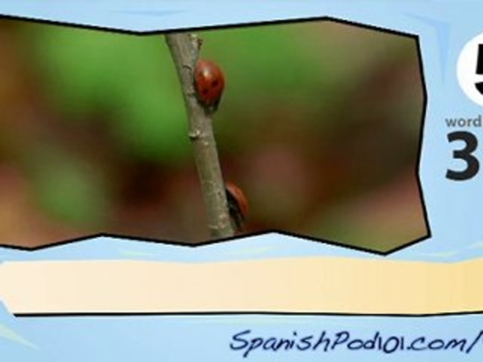 Learn Spanish-Learn with Spanish Insects video