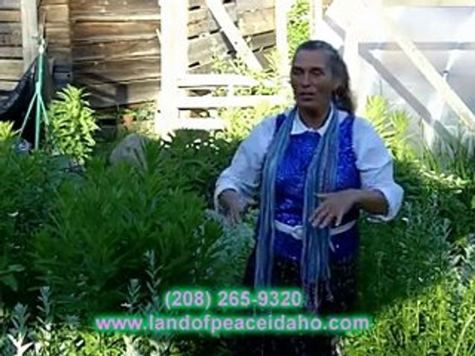 How is organic healing therapeutic oil made?