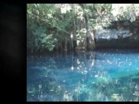 Susan Gregg - Overcoming Procrastination