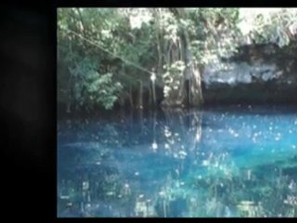 Susan Gregg - Overcoming Procrastination