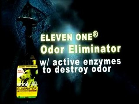 Eleven One Waterless Car Wash