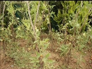 Kemerburgaz tanıtım slaytı