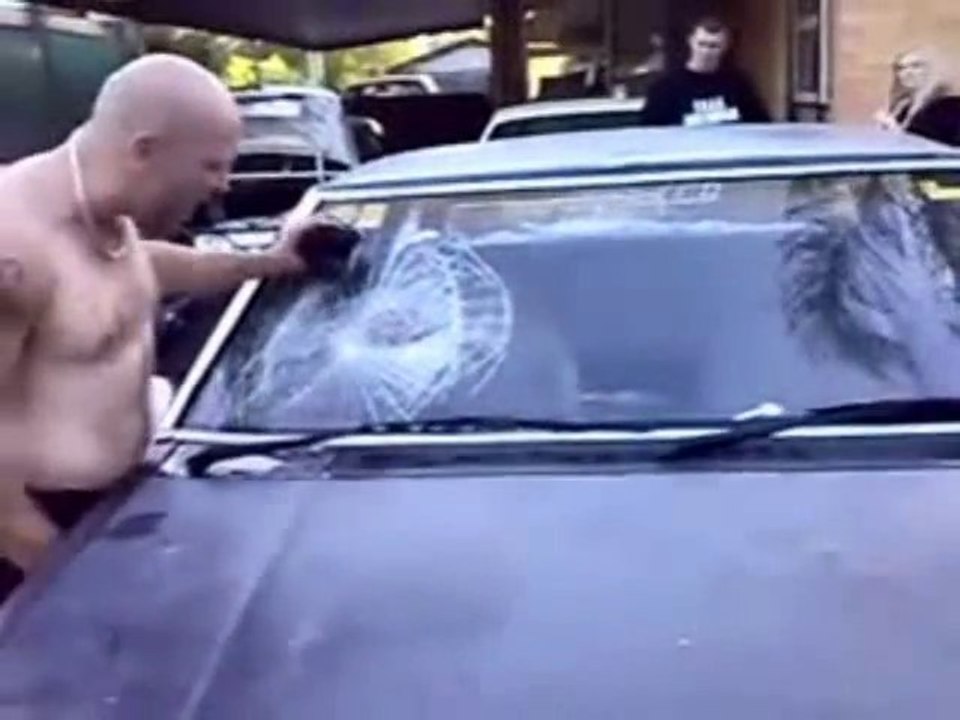 Regis Carglass ® mozinor 2010