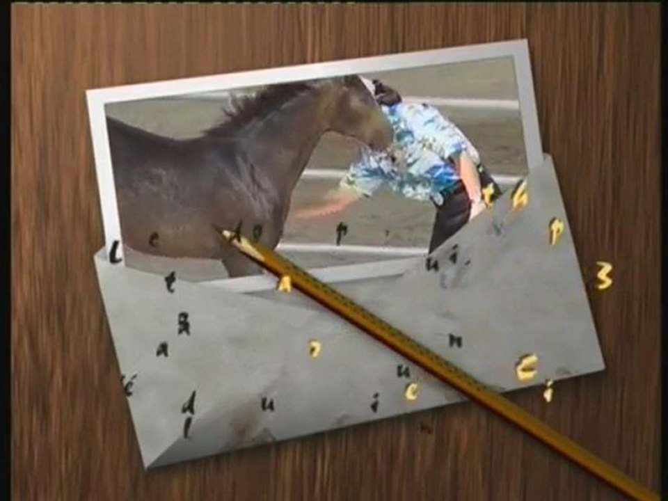 ETHOLOGIE..l'éducation du poulain.