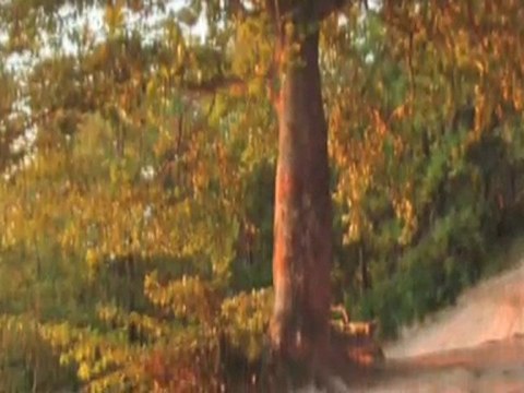 Psykoanalyse Sjælland Roskilde Løgstrup Mette