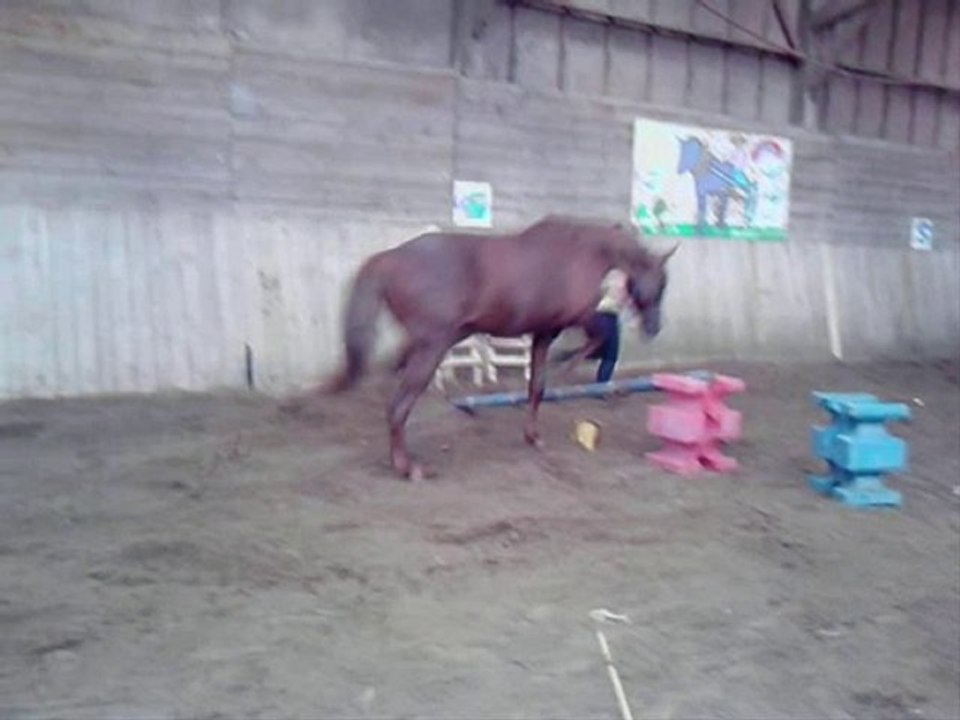 saut club